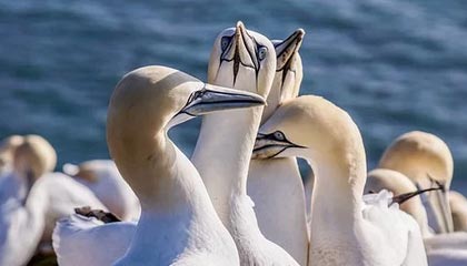 桐乡最新公积金卡提取现金方法app方法分析(最方便真实的桐乡公积金卡怎样从手机里取出来?方法)