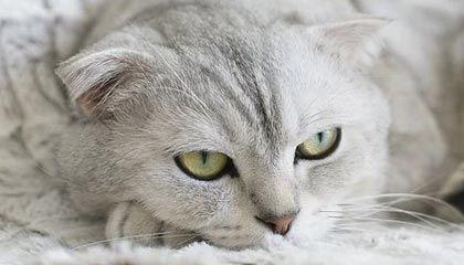 桐乡最新公积金卡换取现金秒到账方法分析(最方便真实的桐乡公积金卡钱取出来了卡会多久失效方法)